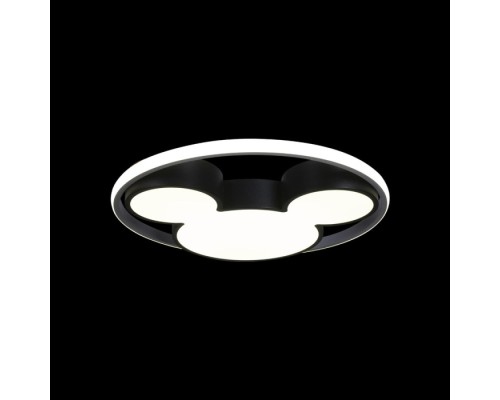 Потолочный светильник Mike 10165 Loft It