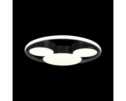 Потолочный светильник Mike 10166 Loft It