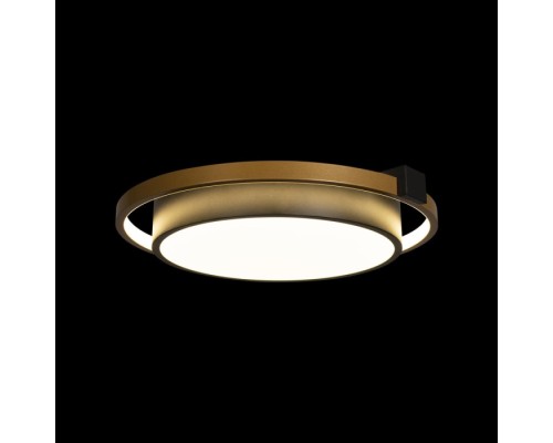 Потолочный светильник Mike 10169 Loft It