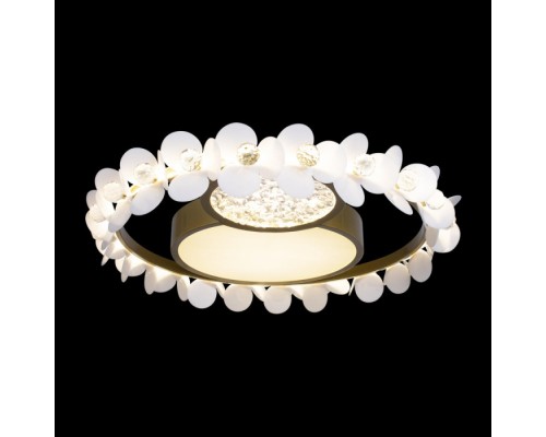 Потолочный светильник Bride 10174 Loft It