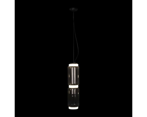 Подвесной светильник Noctambule 10194/M Loft It