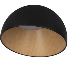 Потолочный светильник Egg 10197/350 Black Loft It