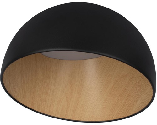 Потолочный светильник Egg 10197/350 Black Loft It