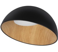Потолочный светильник Egg 10197/500 Black Loft It