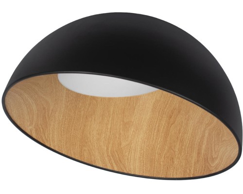 Потолочный светильник Egg 10197/500 Black Loft It