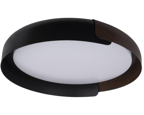 Потолочный светильник Coin 10198 Black Loft It