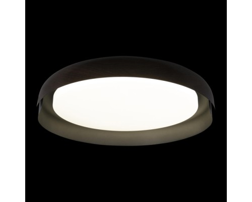 Потолочный светильник Coin 10198 Black Loft It