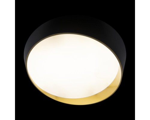 Потолочный светильник Coin 10199 Black Loft It