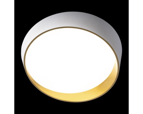 Потолочный светильник Coin 10199 White Loft It