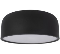 Потолочный светильник Axel 10201/350 Black Loft It
