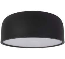 Потолочный светильник Axel 10201/350 Black Loft It