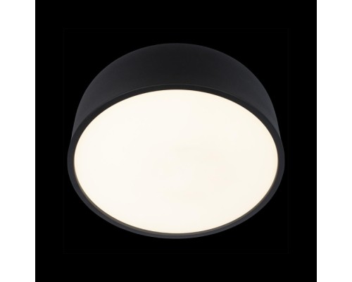 Потолочный светильник Axel 10201/350 Black Loft It