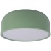 Потолочный светильник Axel 10201/350 Green Loft It