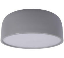 Потолочный светильник Axel 10201/350 Grey Loft It