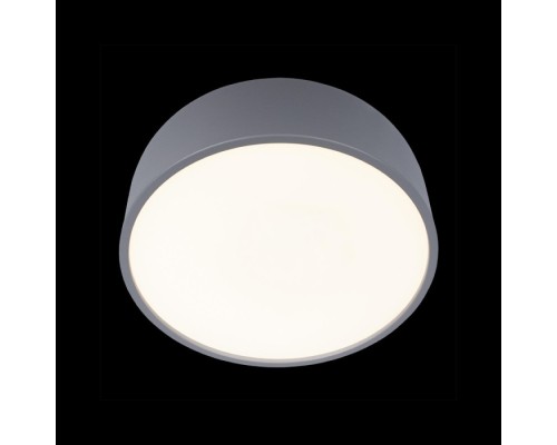 Потолочный светильник Axel 10201/350 Grey Loft It