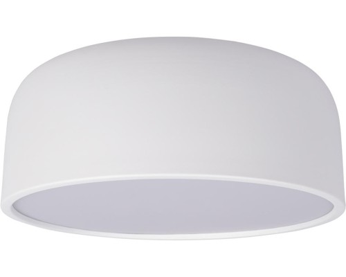 Потолочный светильник Axel 10201/350 White Loft It