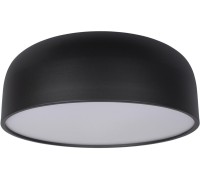 Потолочный светильник Axel 10201/480 Black Loft It