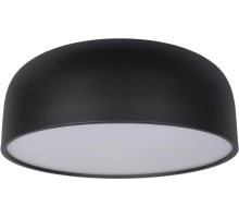 Потолочный светильник Axel 10201/480 Black Loft It