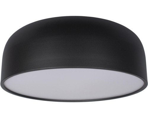 Потолочный светильник Axel 10201/480 Black Loft It