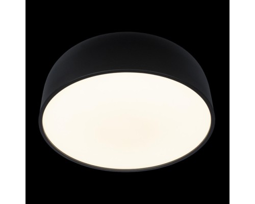 Потолочный светильник Axel 10201/480 Black Loft It