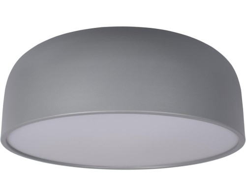 Потолочный светильник Axel 10201/480 Grey Loft It