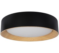 Потолочный светильник Coin 10202 Black Loft It