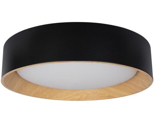 Потолочный светильник Coin 10202 Black Loft It