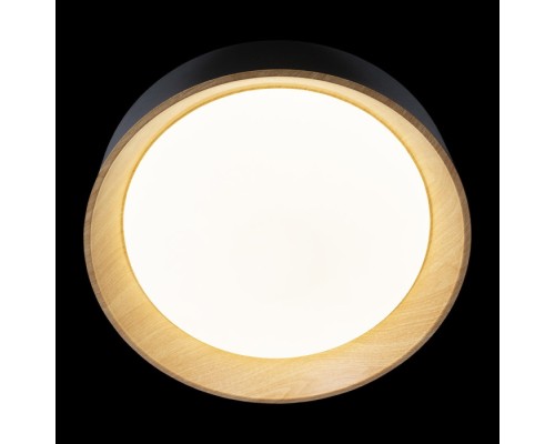 Потолочный светильник Coin 10202 Black Loft It