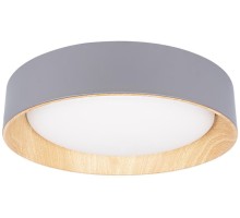 Потолочный светильник Coin 10202 Grey Loft It