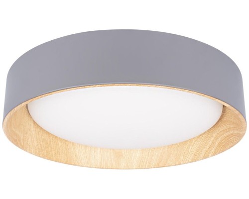 Потолочный светильник Coin 10202 Grey Loft It