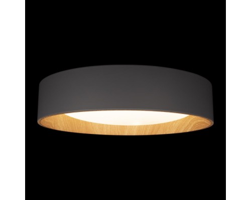 Потолочный светильник Coin 10202 Grey Loft It