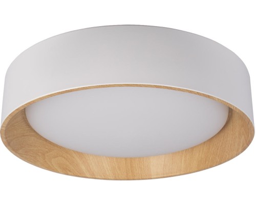 Потолочный светильник Coin 10202 White Loft It