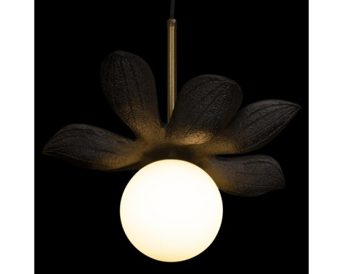 Подвесной светильник Monro 10213/B Black Loft It