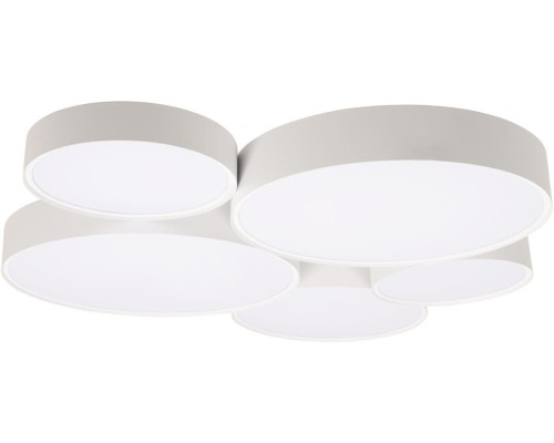 Потолочный светильник Drum 10218 White Loft It