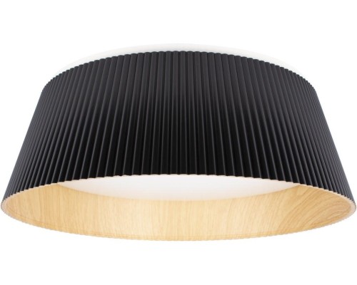 Потолочный светильник Evans 10224 Black Loft It