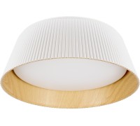Потолочный светильник Evans 10224 White Loft It
