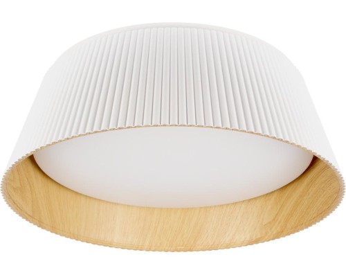 Потолочный светильник Evans 10224 White Loft It