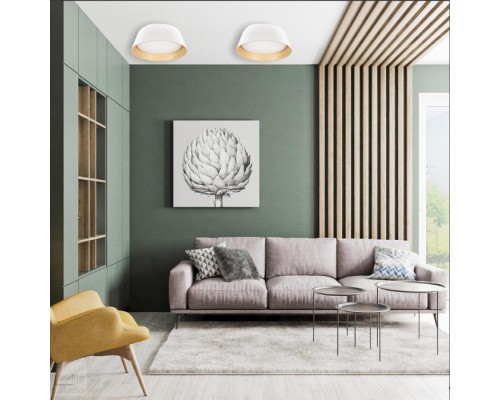 Потолочный светильник Evans 10224 White Loft It