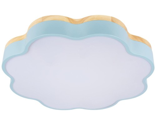 Потолочный светильник Axel 10225/36 Blue Loft It