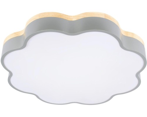 Потолочный светильник Axel 10225/36 Grey Loft It