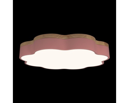 Потолочный светильник Axel 10225/36 Pink Loft It
