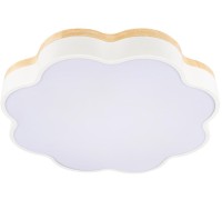 Потолочный светильник Axel 10225/36 White Loft It