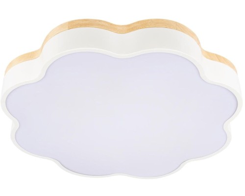 Потолочный светильник Axel 10225/36 White Loft It