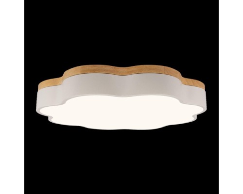 Потолочный светильник Axel 10225/36 White Loft It