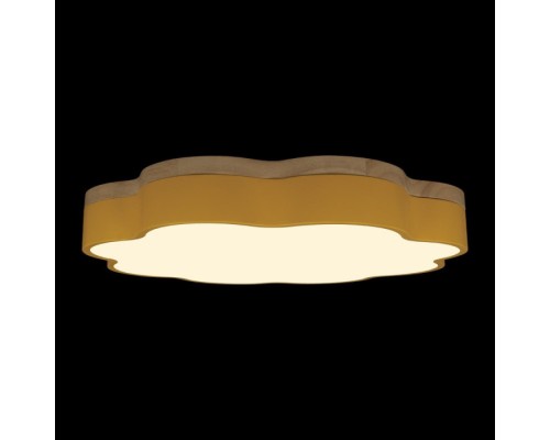 Потолочный светильник Axel 10225/36 Yellow Loft It