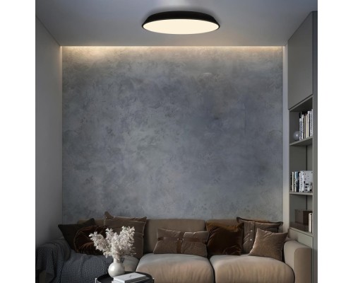 Потолочный светильник Brim 10226 Black Loft It