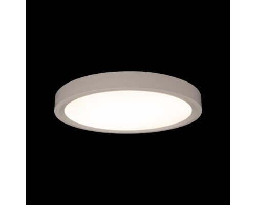 Потолочный светильник Extraslim 10227/24 White Loft It