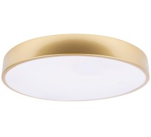 Потолочный светильник Flims 10228/A Loft It