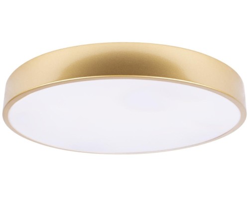 Потолочный светильник Flims 10228/A Loft It