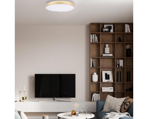 Потолочный светильник Flims 10228/A Loft It